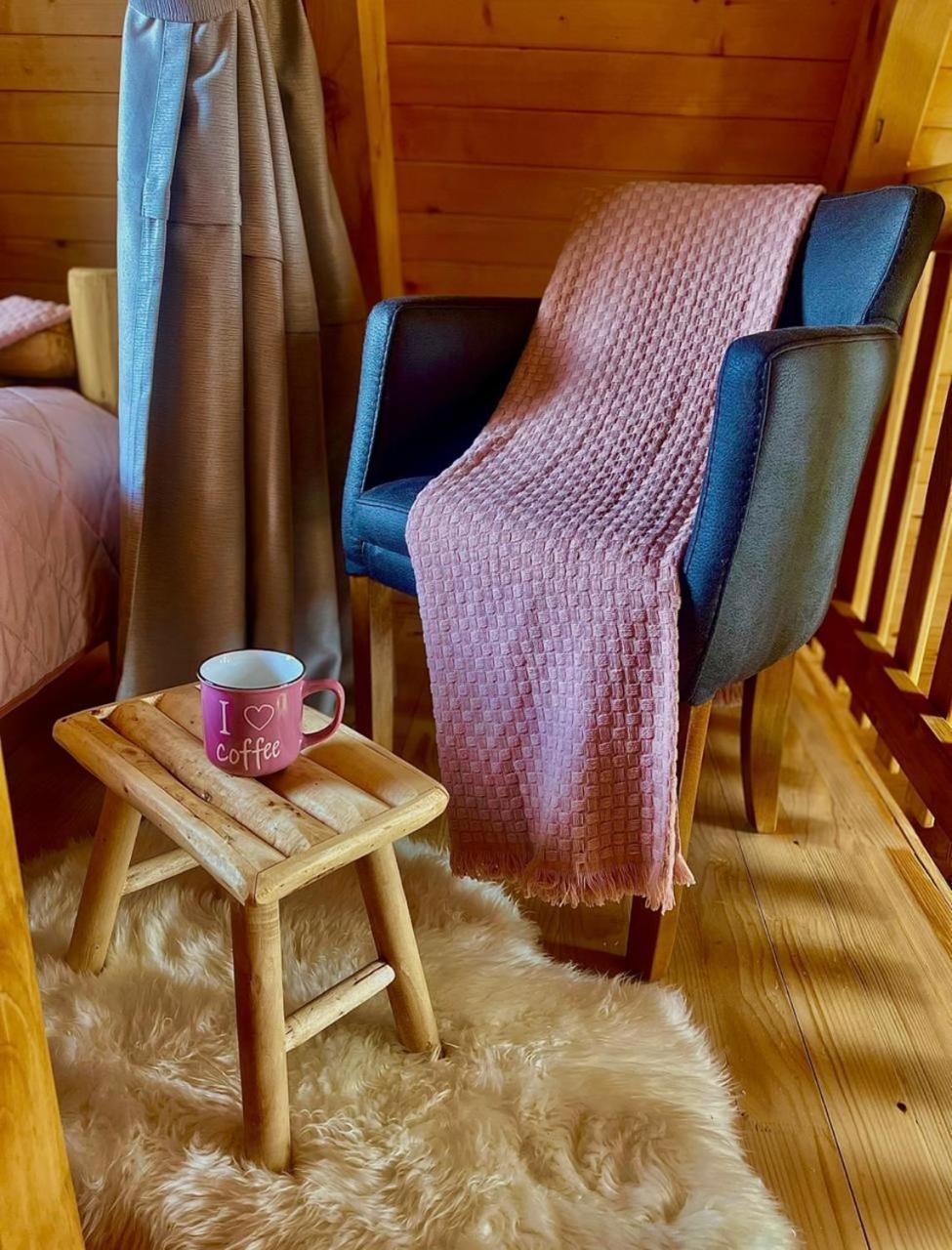 A Frame Houses Ans Zabljak エクステリア 写真